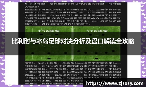比利时与冰岛足球对决分析及盘口解读全攻略