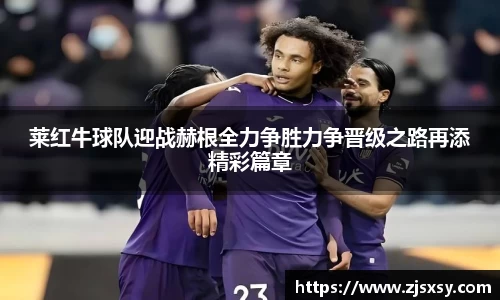 莱红牛球队迎战赫根全力争胜力争晋级之路再添精彩篇章