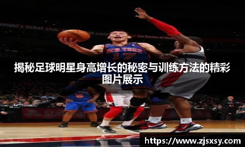 ac米兰股份有限公司